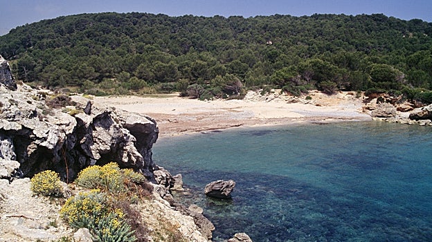 Imagen de la cala Matzoc