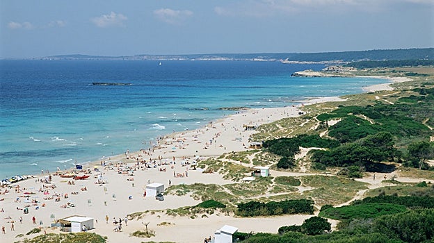 Imagen de la playa de Son Bou