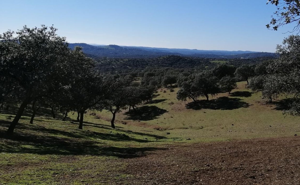 Paisaje de la Sierra Morena de Sevilla