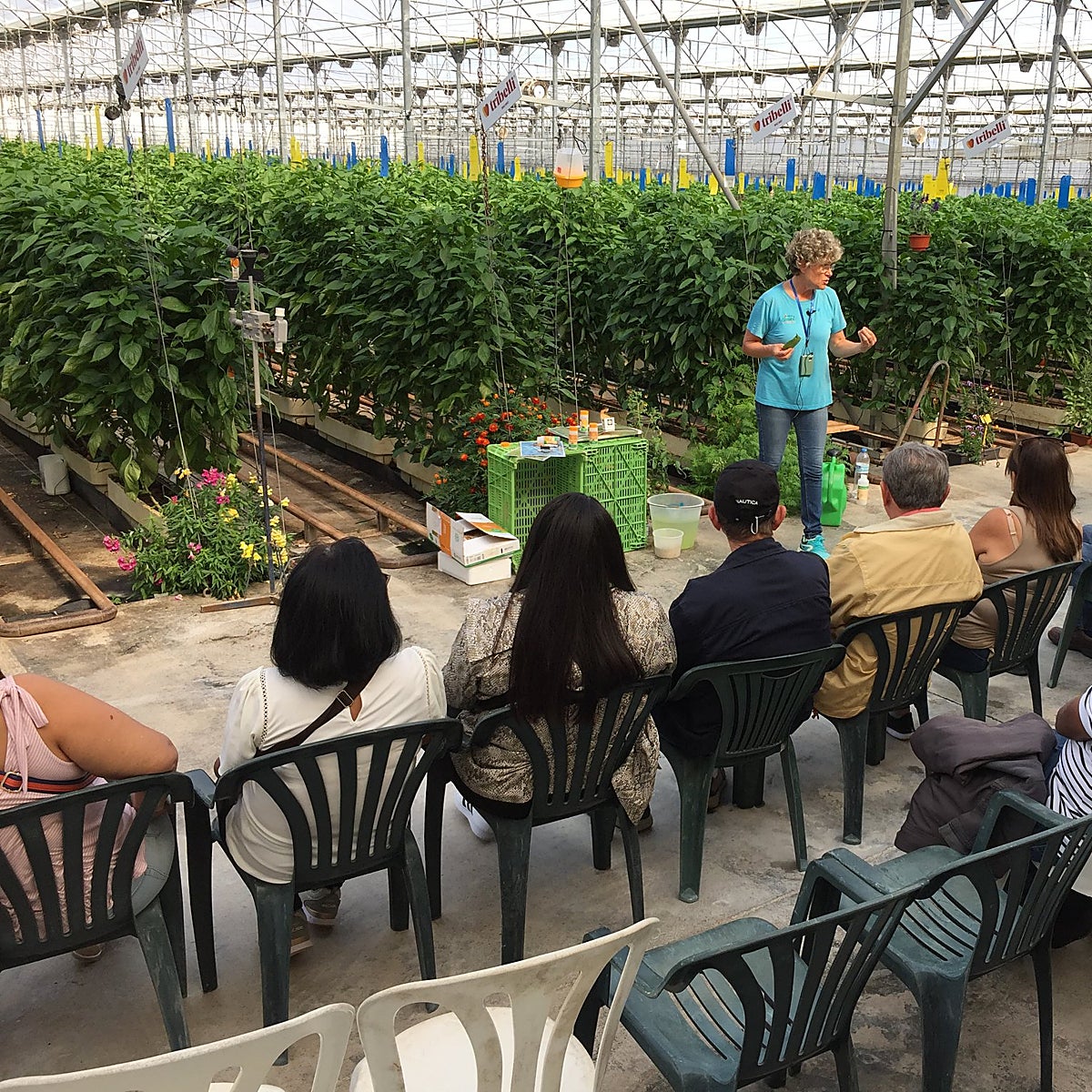 Agroturismo en Almería: visita a la huerta de Europa a través de los invernaderos