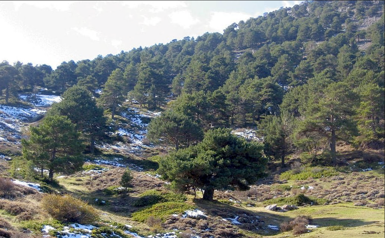 Sierra de Baza