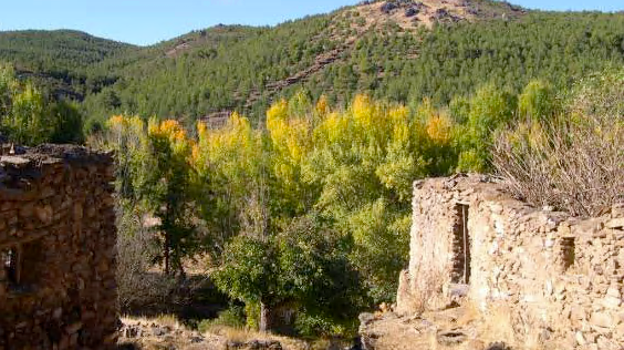 Yacimientos arqueológico en la Sierra de Baza