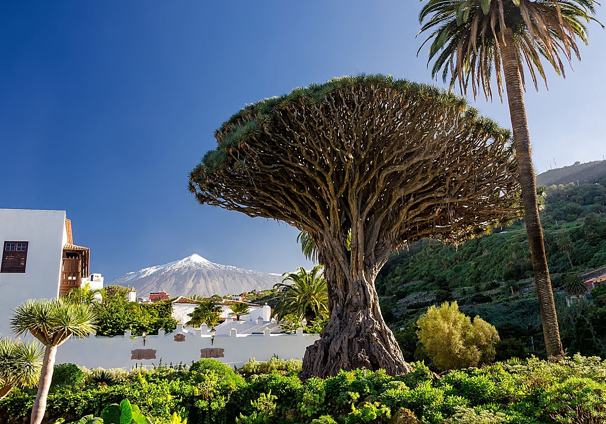 Este es el Pueblo Mágico de España en 2023 (y estos son sus atractivos)