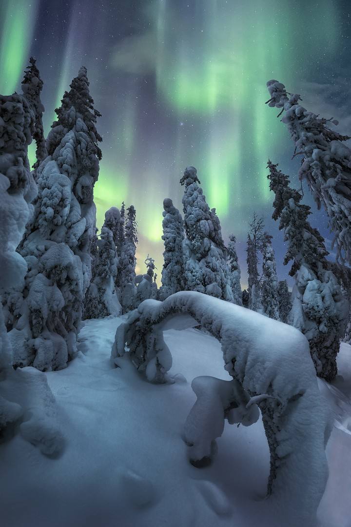 'Spirits of Winter'.  Foto tomada en el Parque Nacional Riisitunturi, Laponia Finlandesa. "Teníamos tantas ganas de fotografiar la Aurora Boreal que, incluso con un pronóstico poco prometedor y temperaturas de -30ºC, decidimos intentarlo. Finalmente, se produjo la magia y pude fotografiar la Aurora Boreal".