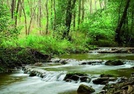 Estos son los paisajes invernales más bonitos que puedes encontrar en la provincia de Sevilla