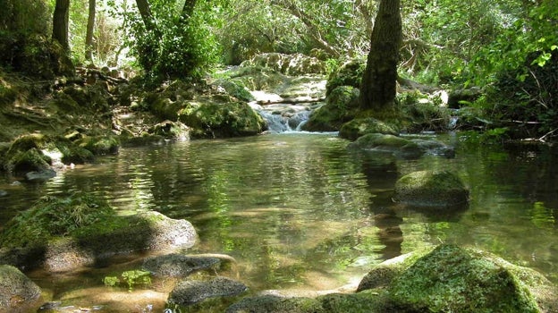 Rivera del río Huéznar