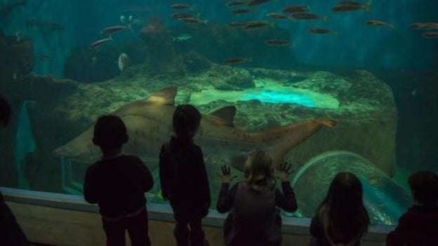 Los diez mejores zoológicos y acuarios de Andalucía