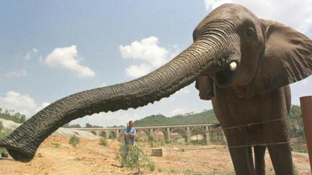 Los diez mejores zoológicos y acuarios de Andalucía