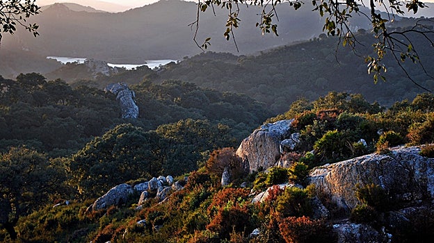 Parque Natural de Los Alcornocales