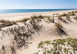 Playas de Huelva para pasear en manga corta en pleno invierno