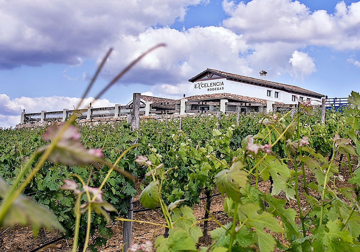 Vista de las Bodegas Excelencia