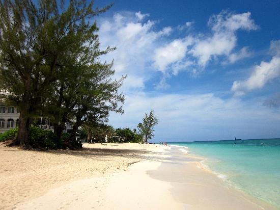 14 Seven Mile Beach (Seven Mile Beach, Grand Cayman)