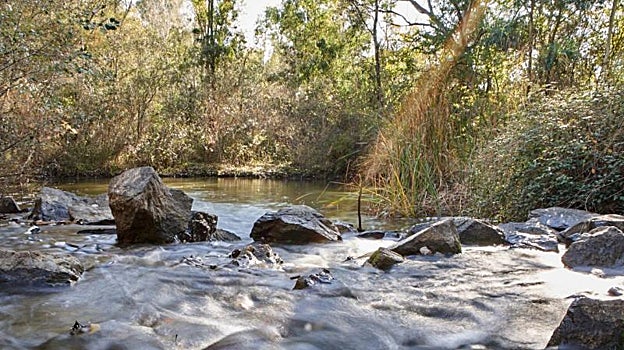El Corredor Verde del Guadiamar es un auténtico vergel repleto de naturaleza y tranquilidad