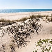 Cinco buenas razones para viajar a Huelva esta primavera