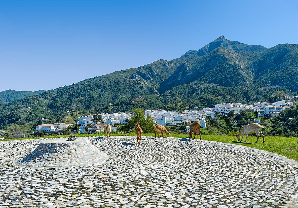 Istán es una localidad ideal para disfrutar de la montaña a pocos minutos del mar