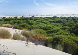 Cinco rutas a pie por la costa de Huelva que no te dejarán indiferente