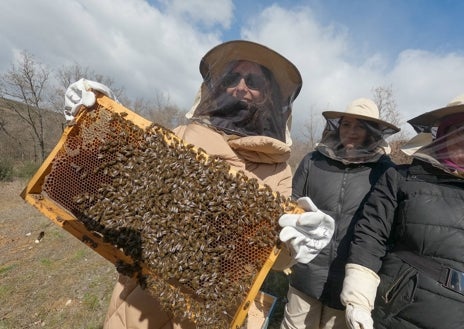 Imagen secundaria 1 - La sierra que rodea La Cabrera es un clásico del senderismo en Madrid. El convento de San Antonio o una actividad de ecoturismo con abejas pueden completar la ruta por una zona mucho menos habitada y conocida que la sierra del Guadarrama.