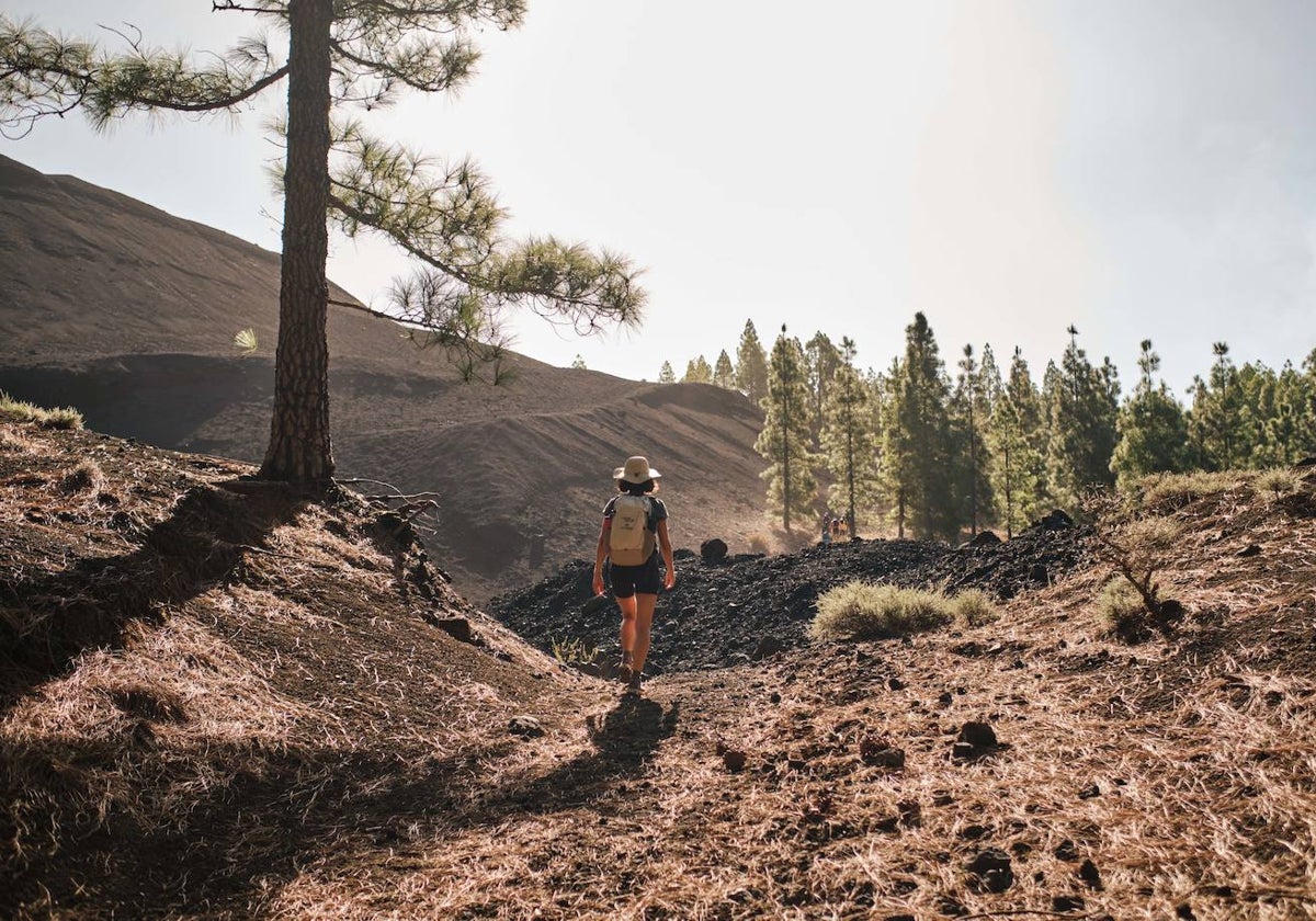 Un día de senderismo en el interior de Gran Canaria