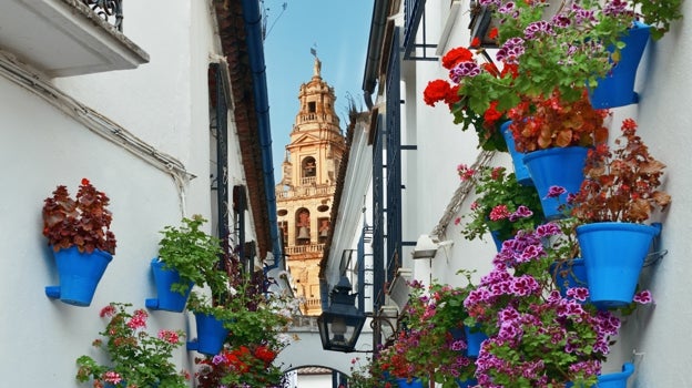 Calle de la ciudad de Córdoba con maceteros de flores