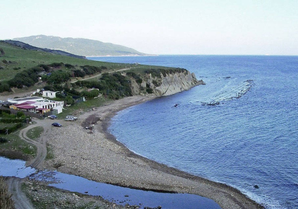 La franja litoral del parque del Estrecho es un territorio biológico único