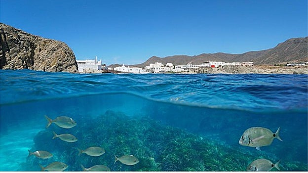 Buceo en Almería