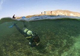 Bucea en Andalucía y descubre los fondos marinos más espectaculares del Mediterráneo y el Atlántico