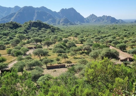 Imagen secundaria 1 - Arriba, Los Castillos de Villa Vil. Abajo, izq. El Shincal, yacimiento inca. Dcha, dos vicuñas, animal que se cría en libertad en Catamarca.