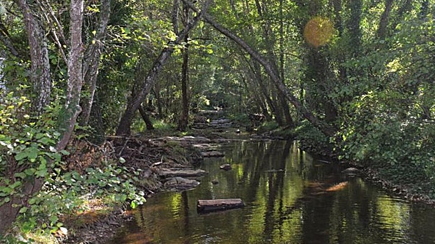 La Isla Margarita, o la Isla del Pescador, es un remanso de paz que se encuentra en el término de Cazalla de la Sierra