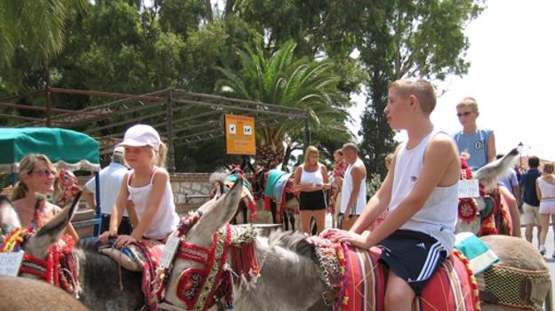 Burros-taxi de Mijas Pueblo