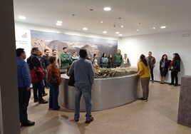 Almería: un viaje al pasado en el museo y la Puerta de Almería, dos joyas del patrimonio arqueológico