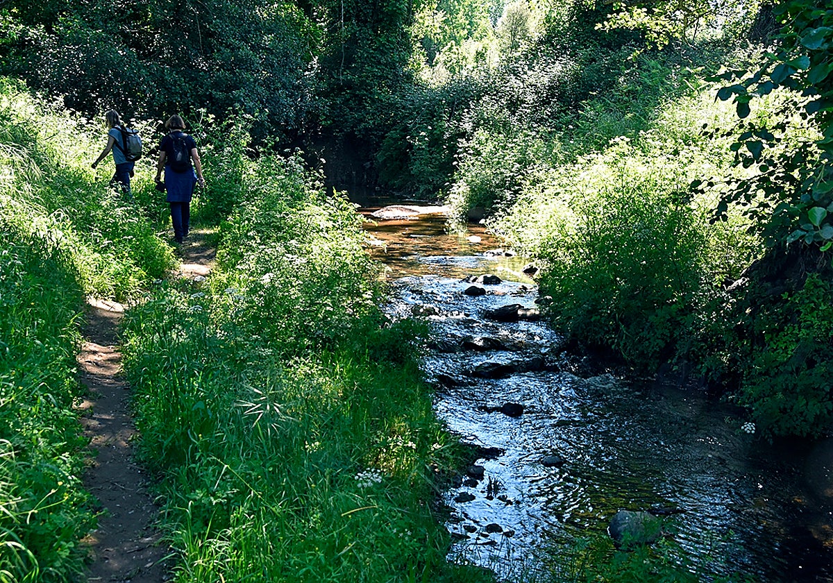 Sendero del río Caliente en Jabugo