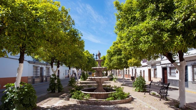 Los naranjos y las casas encaladas dominan el paisaje del casco urbano de la localidad gaditana de Puerto Serrano