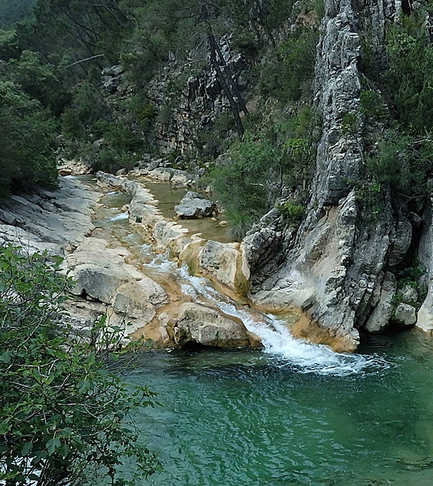 Arroyo de las Truchas