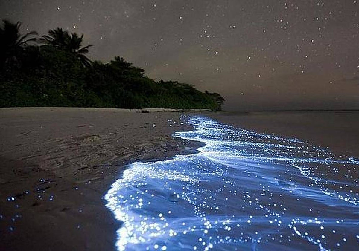 Una playa con el fenómeno de las «lágrimas azules»