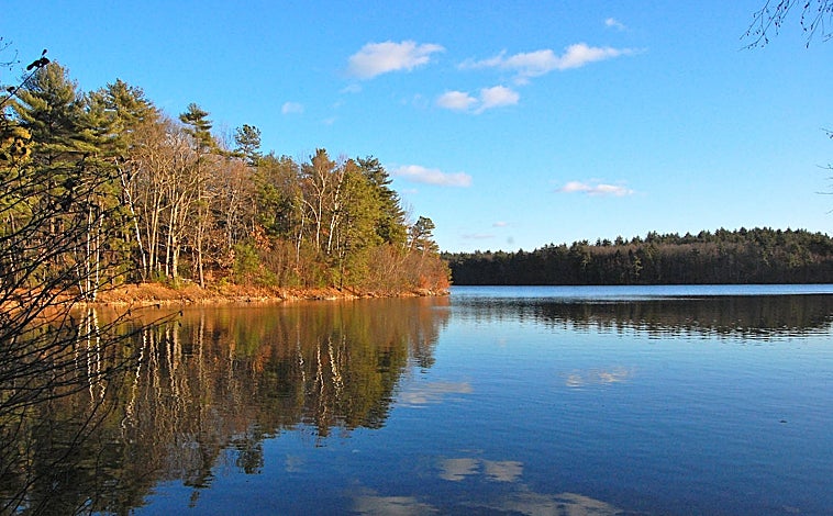 Imagen principal - El lago Walden y, junto al cartel, el lugar donde estuvo originariamente la cabaña. A la derecha, la tumba de Thoreau