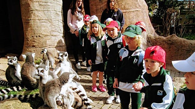 Visita escolar al Bioparc