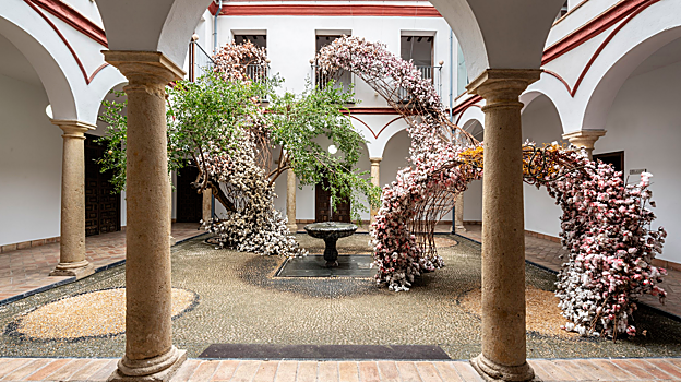 Imagen de patio decorado en ediciones pasadas de FLORA