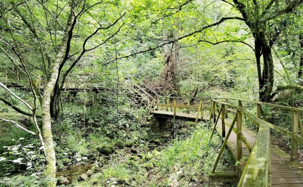 Senda fluvial del Nansa