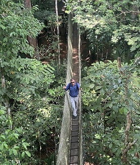 Imagen secundaria 2 - El antropólogo Peter Stonewall Jenson tuvo la idea de esta obra en los primeros años de los años 90 del pasado siglo. En sus orígenes estas pasarelas sólo fueron utilizadas por los científicos, aunque poco después se autorizó el paso a turistas