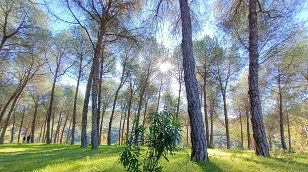 La localidad sevillana de Guillena tiene rincones que están plagadas de un importante valor ecológico