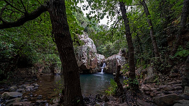 Estampa de Los Canutos en la Sierra del Aljibe en Cádiz.
