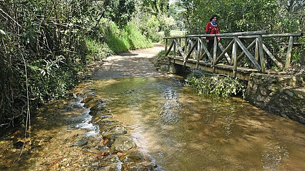 Rivera de Santa Ana la Real