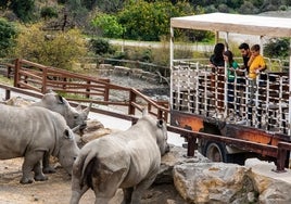 Los parques temáticos de Andalucía que se pueden visitar en invierno: cinco destinos para viajar con niños