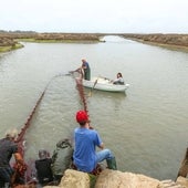 Ruta por las luminosas salinas de la bahía de Cádiz para disfrutar de un ecosistema único