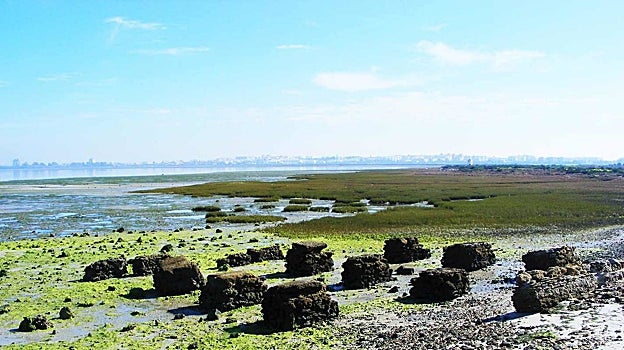 Parque Natural de la Bahía de Cádiz