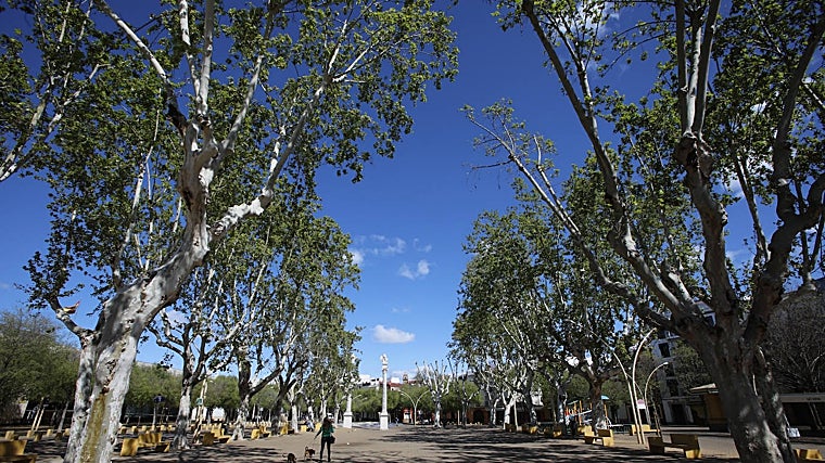 Alameda de Hércules