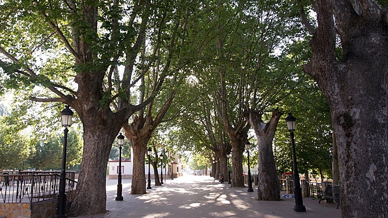 Uno de los parques de Chirivel.