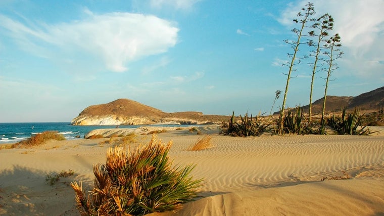 Playa de los Genoveses