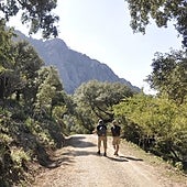 Rutas de senderismo por las ocho cumbres de Andalucía: ¿cuál es la más alta y cuánto se tarda en llegar a la cima?