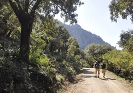 Rutas de senderismo por las ocho cumbres de Andalucía: ¿cuál es la más alta y cuánto se tarda en llegar a la cima?